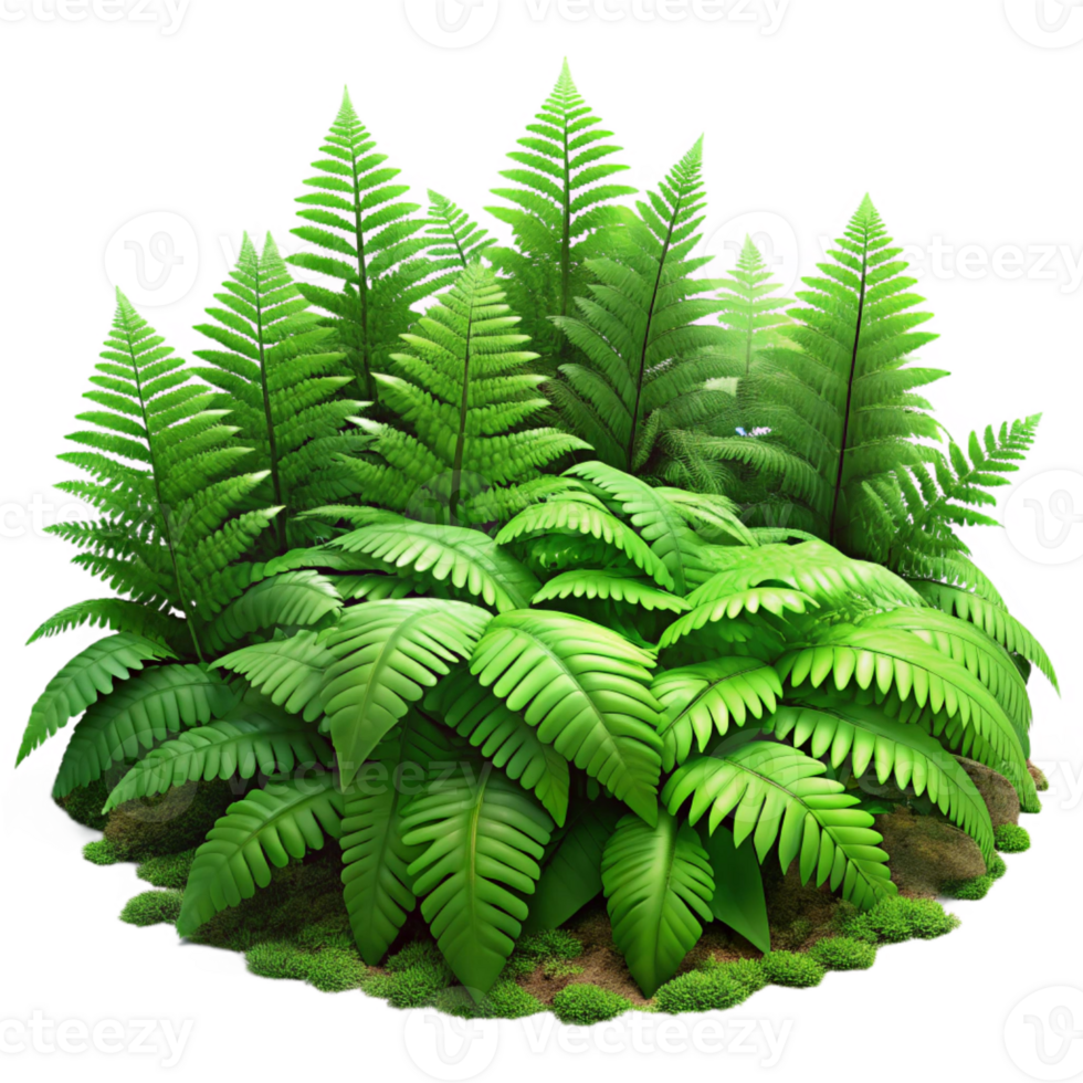 magnificent minimalist A Lush Green Forest Floor Covered in Fer 4K png