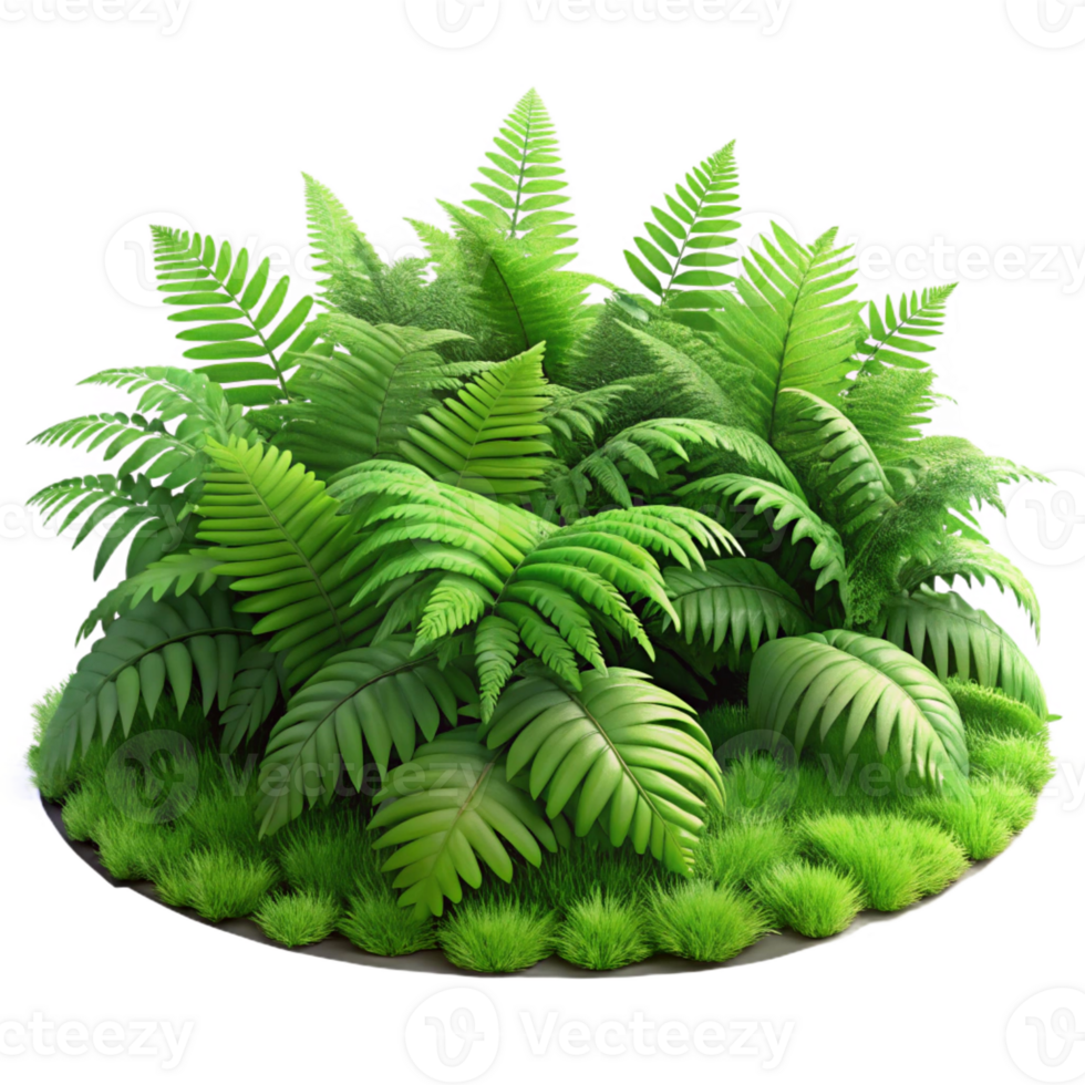 dramatic traditional A Lush Green Forest Floor Covered in Fer authentic png