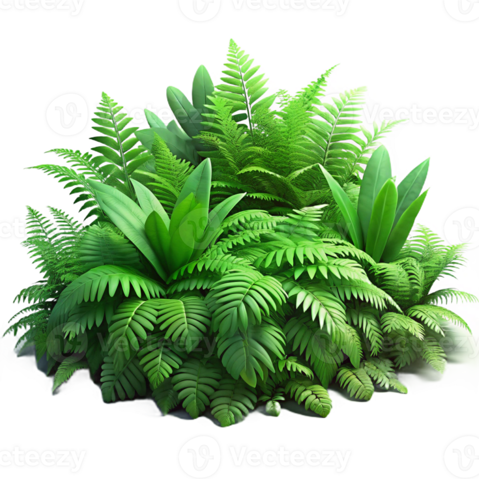 serene rustic A Lush Green Forest Floor Covered in Fer detailed png
