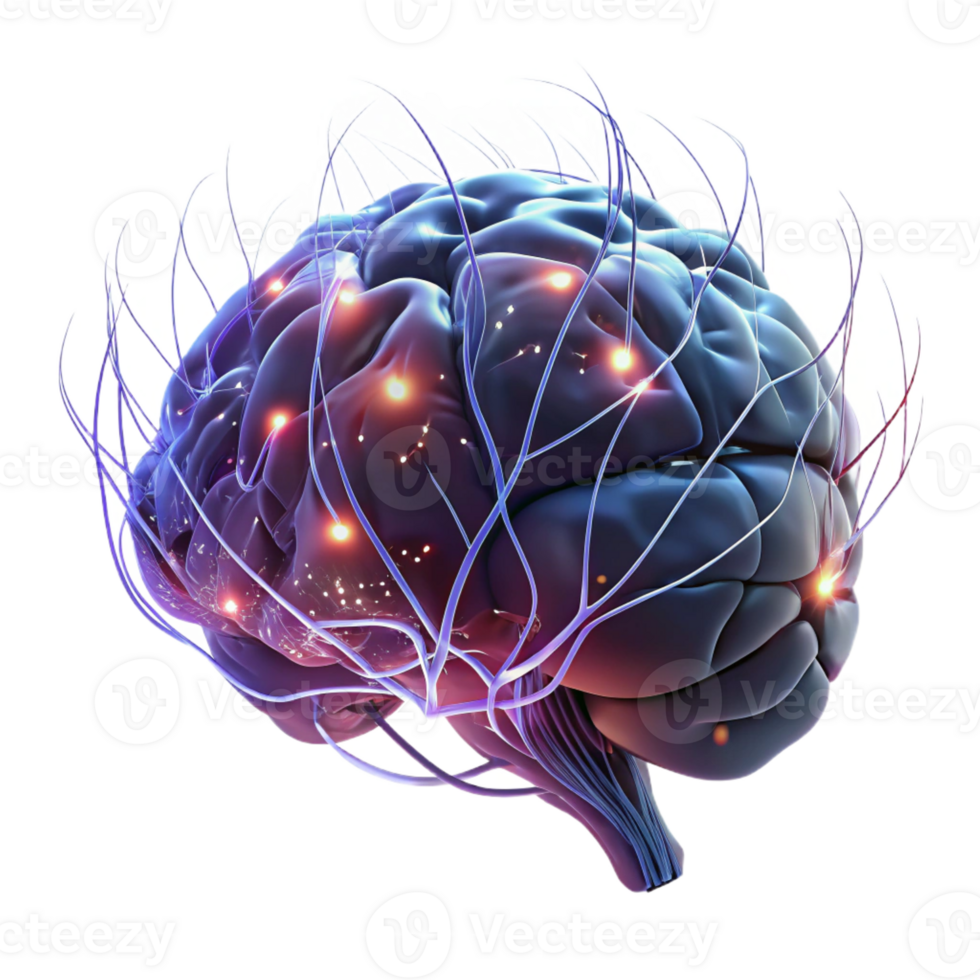 magnificent rustic A Digital Representation of a Human Brain premium png