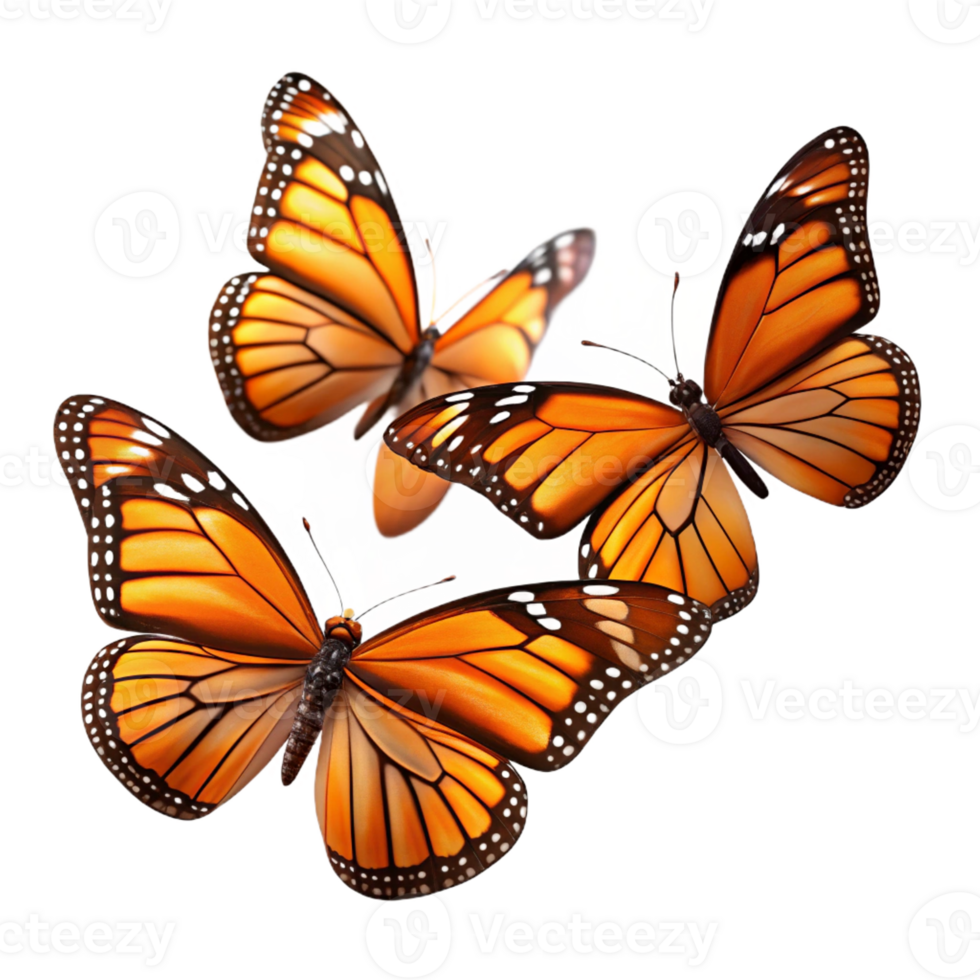 impressive creative A Group of Monarch Butterflies Migrating professional png