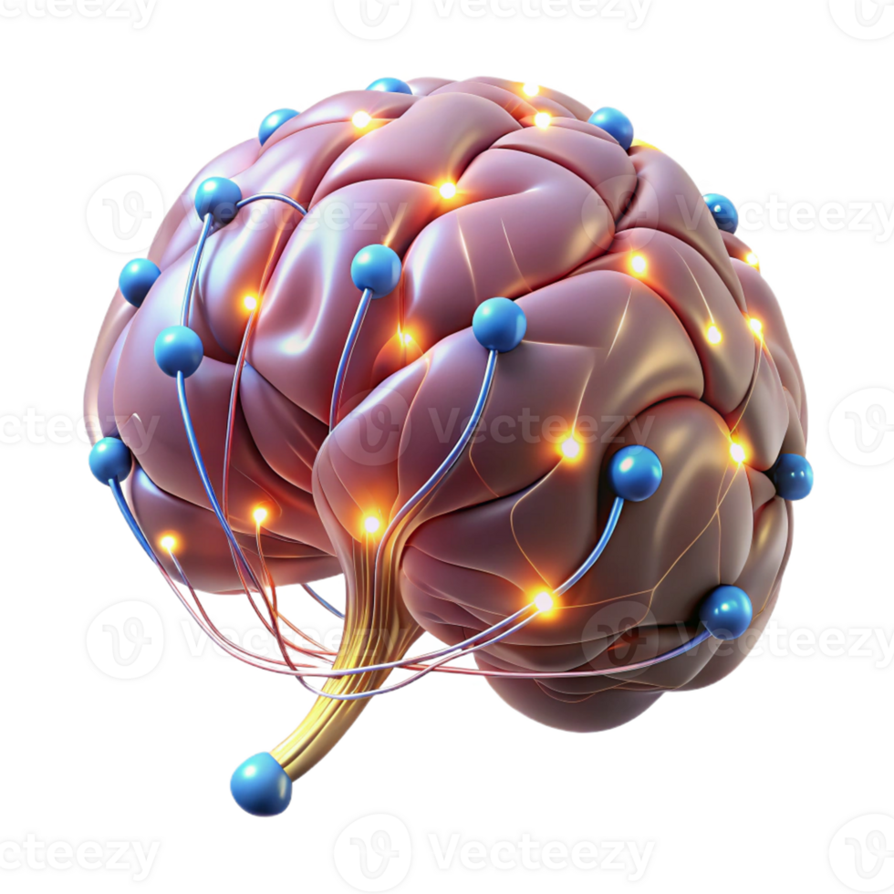 dramatic classic A Digital Rendering of a Human Brain Gl premium png