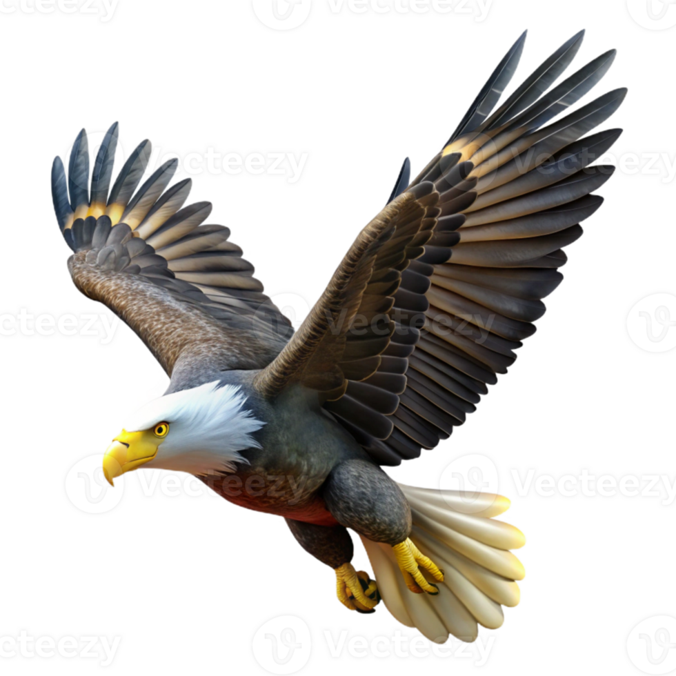 elegant traditional Bald Eagle Soaring High Transparent Background premium png