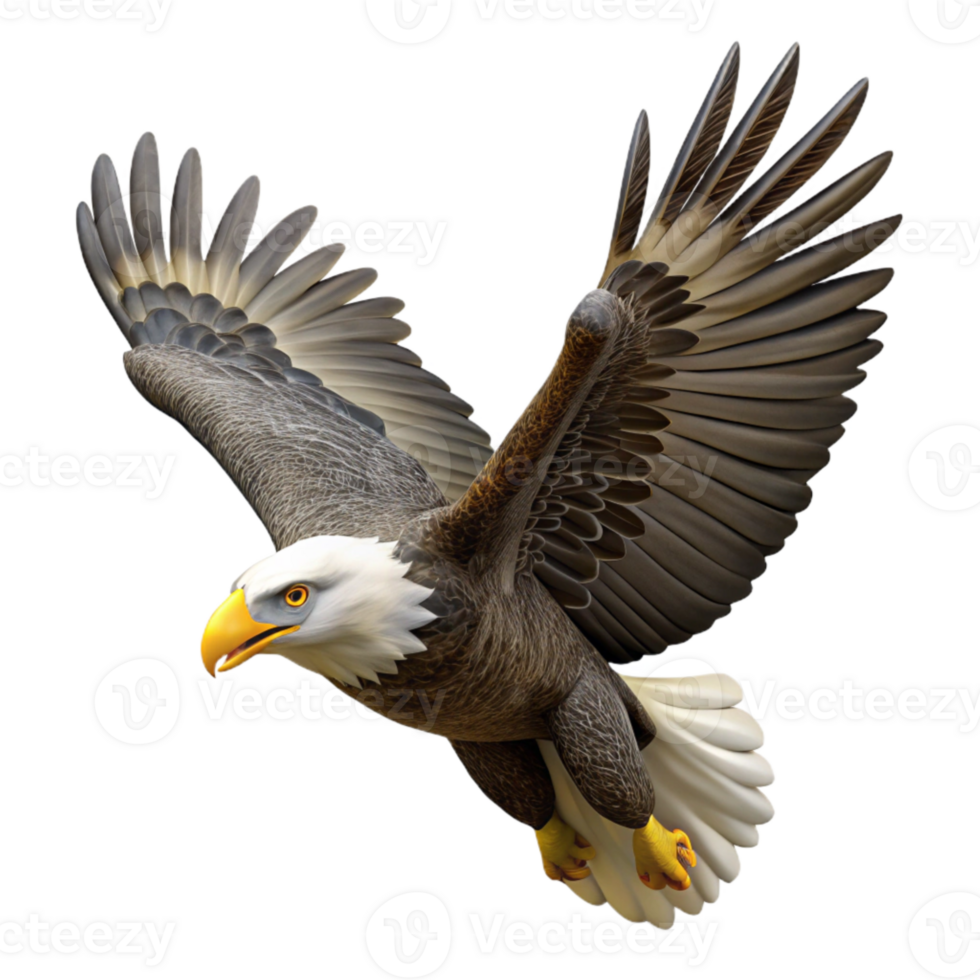 stunning contemporary Bald Eagle Soaring High Transparent Background detailed png