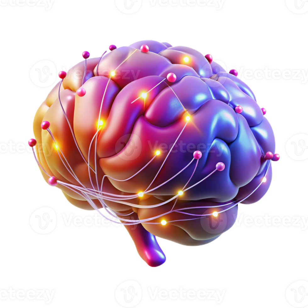extraordinary traditional A Digital Rendering of a Human Brain With high resolution png