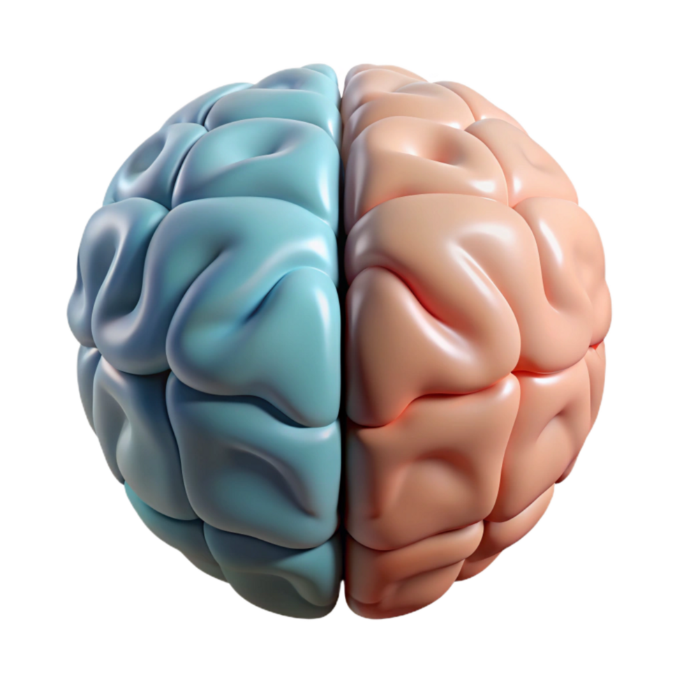 dramatic contemporary Brain Hemisphere Diagram Left Right Labeled Transparent Background professional png