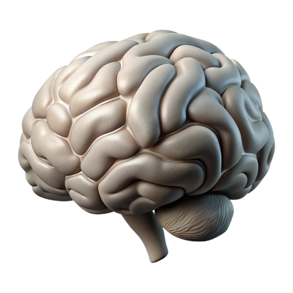 dramatic artistic Brain Silhouette Side View on Transparent Background authentic png