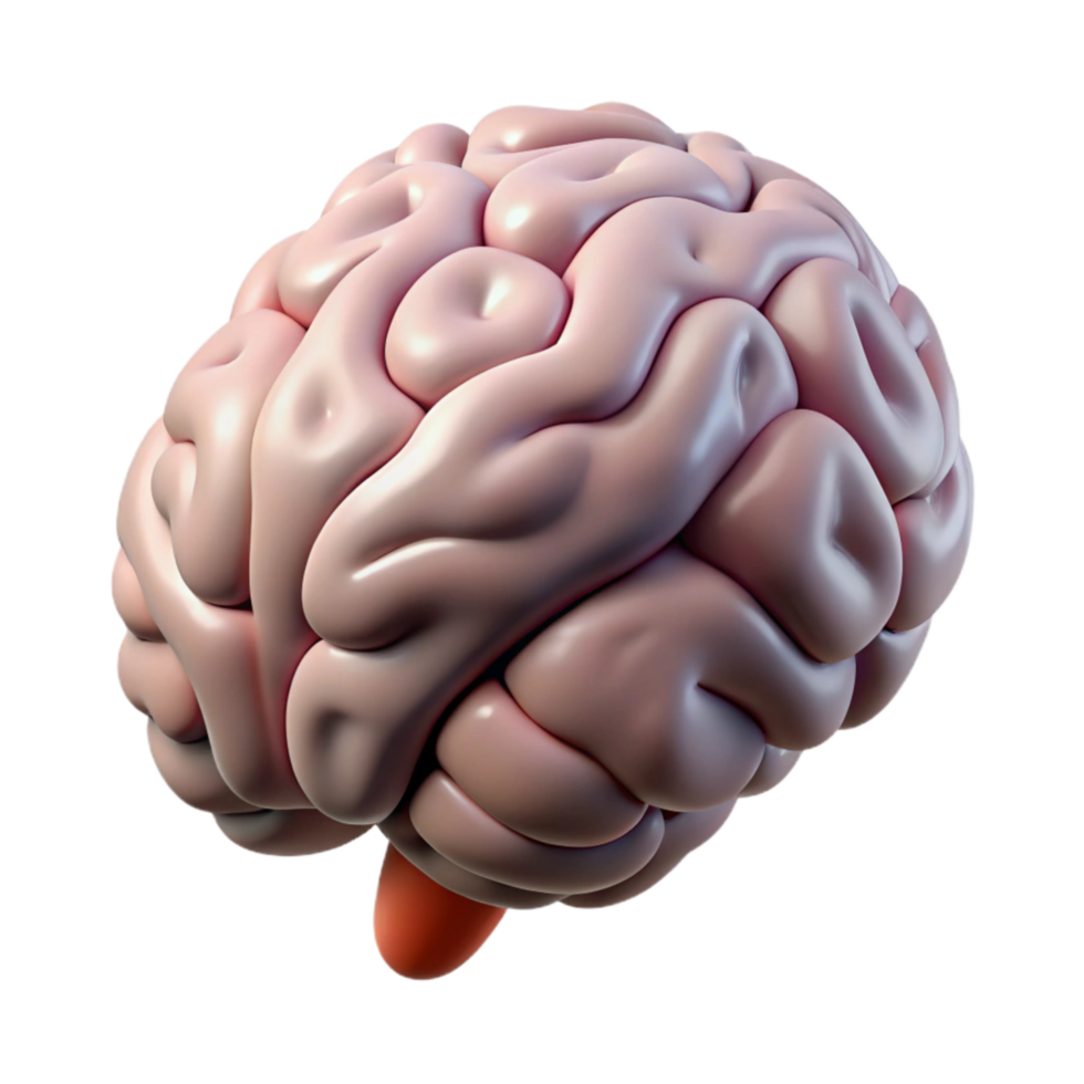 impressive abstract Brain Structure on Transparent Background detailed png
