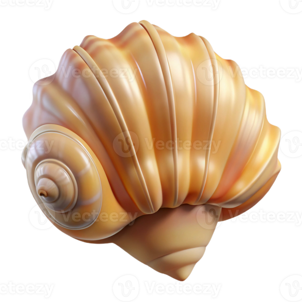 beautiful creative A Close Up of a Seashell Intricate Detai professional png