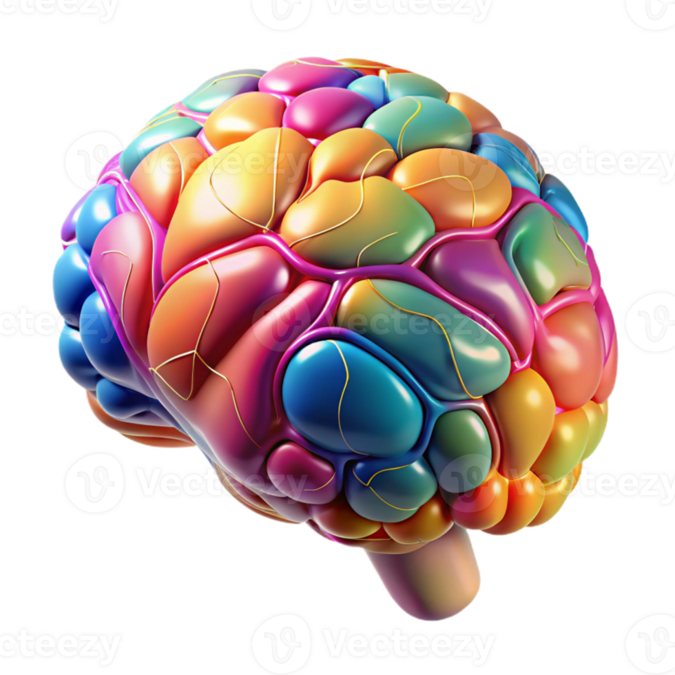 elegant contemporary Brain with Colorful Neurons Transparent Background exclusive png