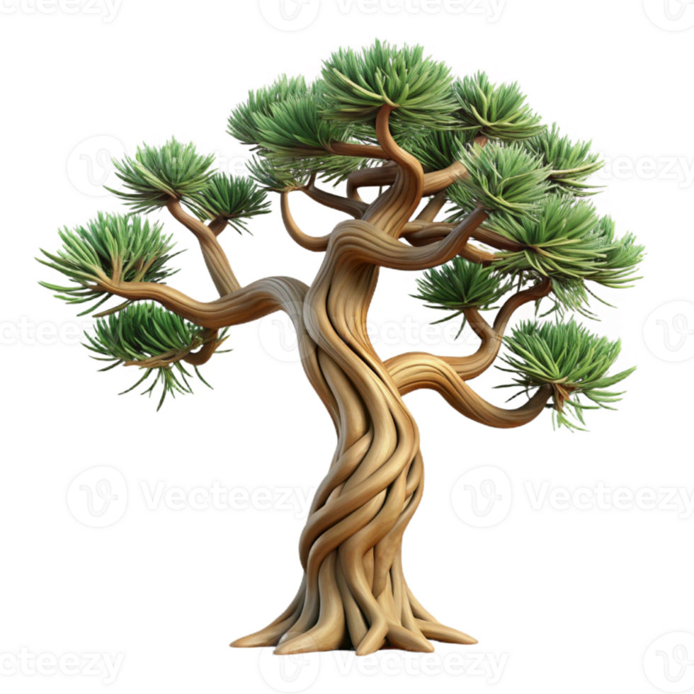 magnificent classic Bristlecone Pine Tree Twisted Branches genuine png