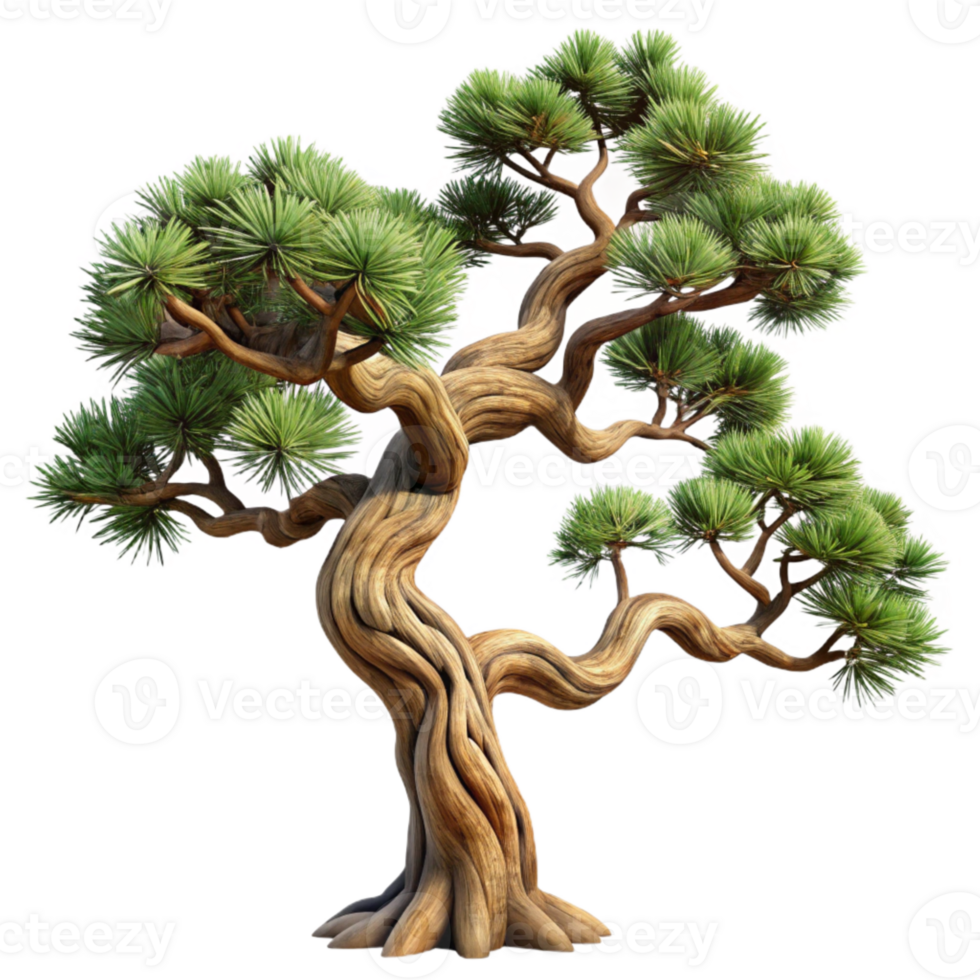 serene classic Bristlecone Pine Tree Twisted Branches high resolution png