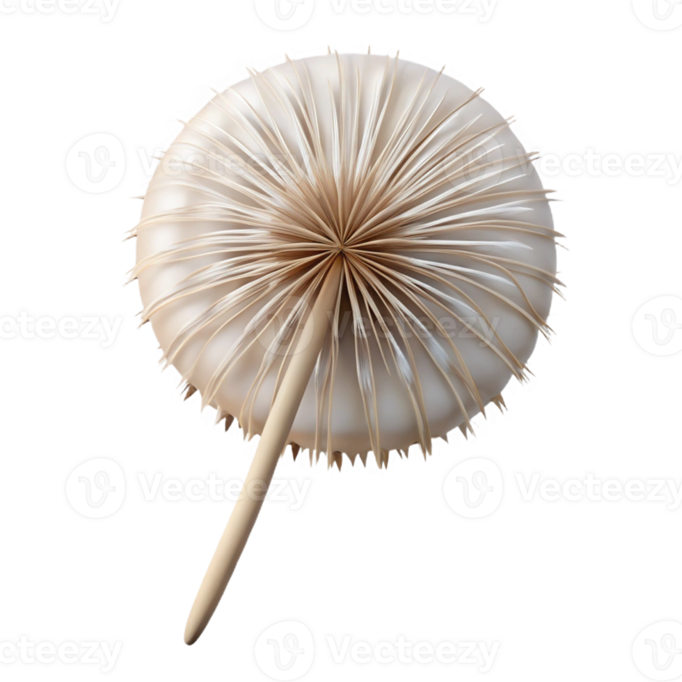 serene rustic A Single Delicate Dandelion Seed Head Ge original png