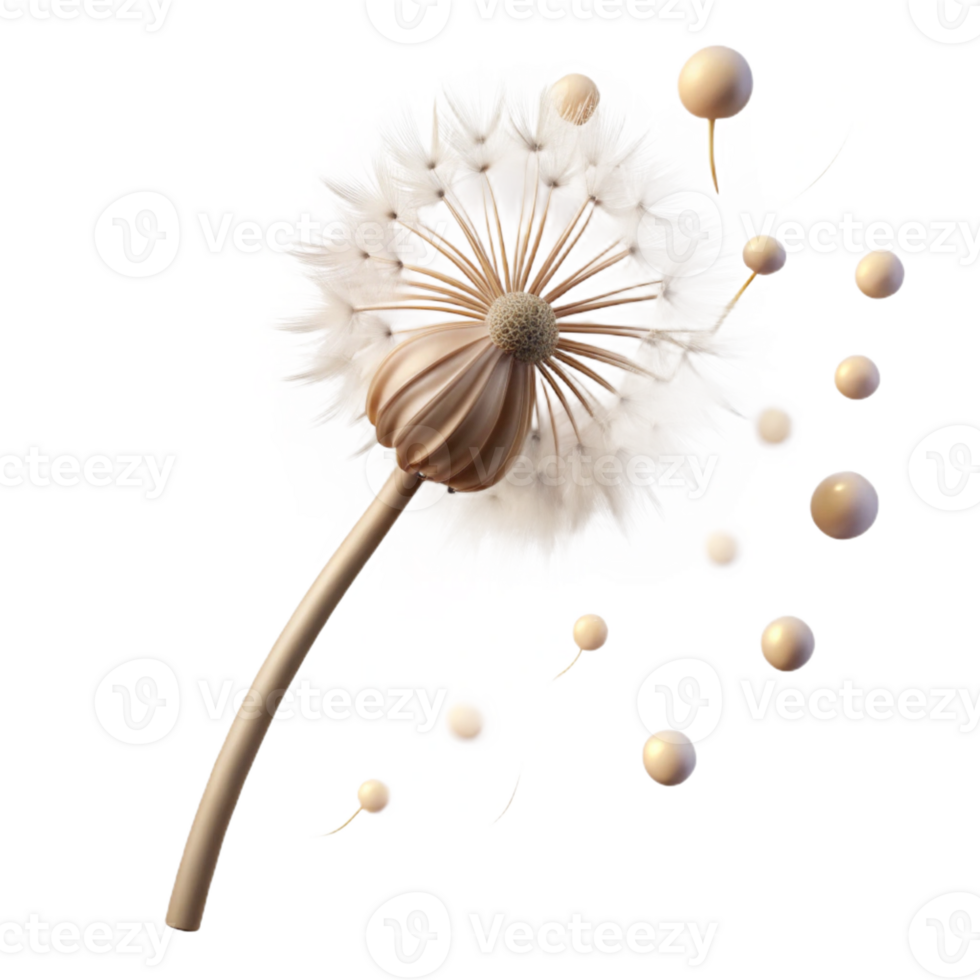 vibrant minimalist A Single Dandelion Seedhead with Seeds Bl 4K png