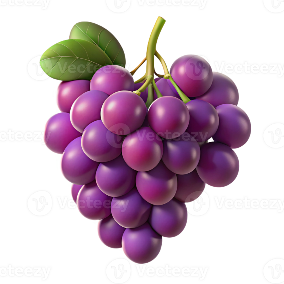 dramatic artistic Grapevine Cluster Hanging on Vine premium png