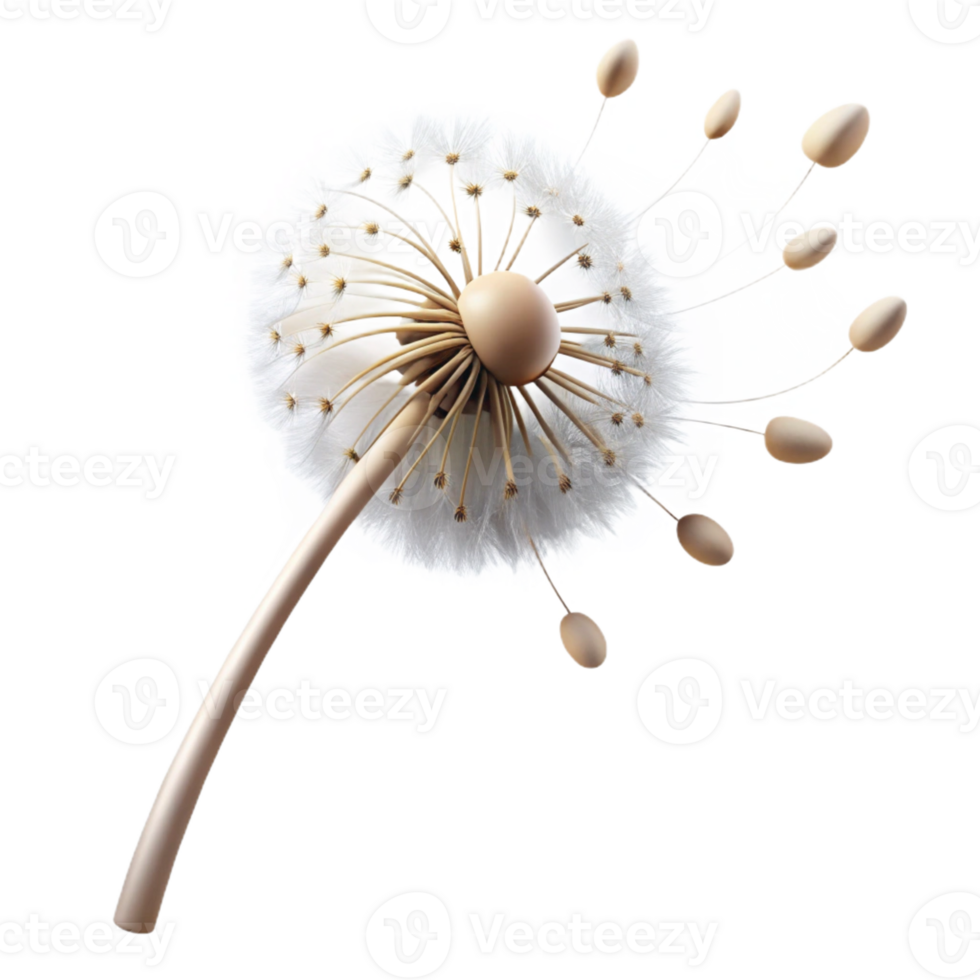 extraordinary creative A Single Dandelion Seed Head with Seeds professional png