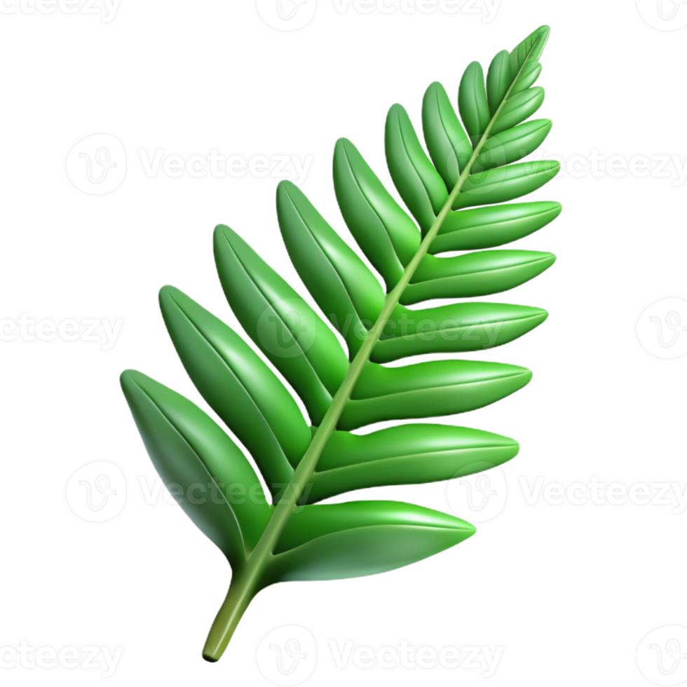 elegant contemporary A Detailed of a Fern Leaf S genuine png