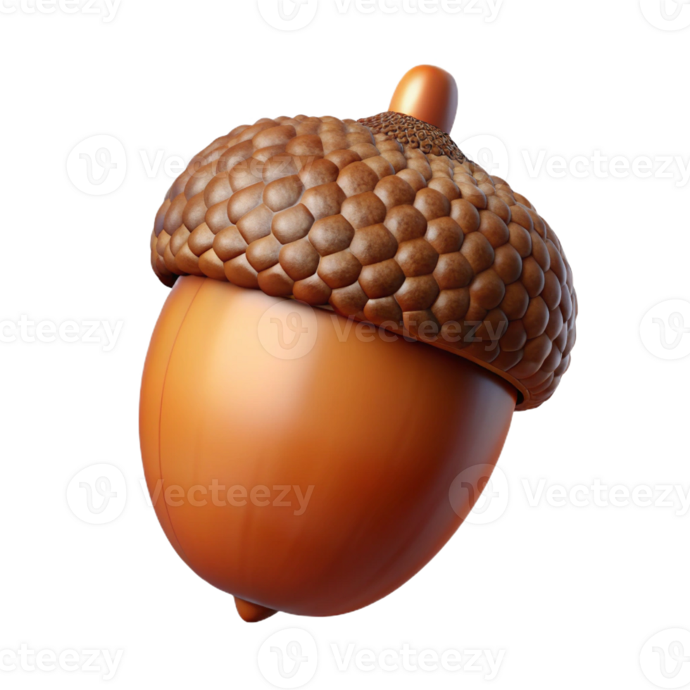 elegant artistic A Single Acorn Detailed Texture Realis authentic png