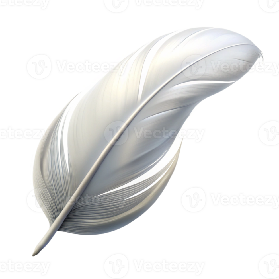 vibrant artistic A Single White Feather Floating on the Wi authentic png