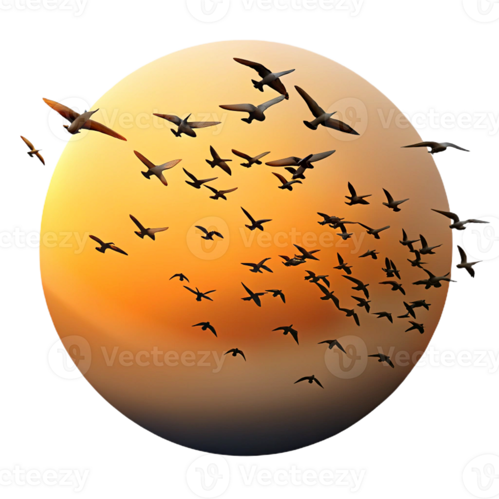 magnificent artistic A Flock of Birds Migrating in a V Formati png