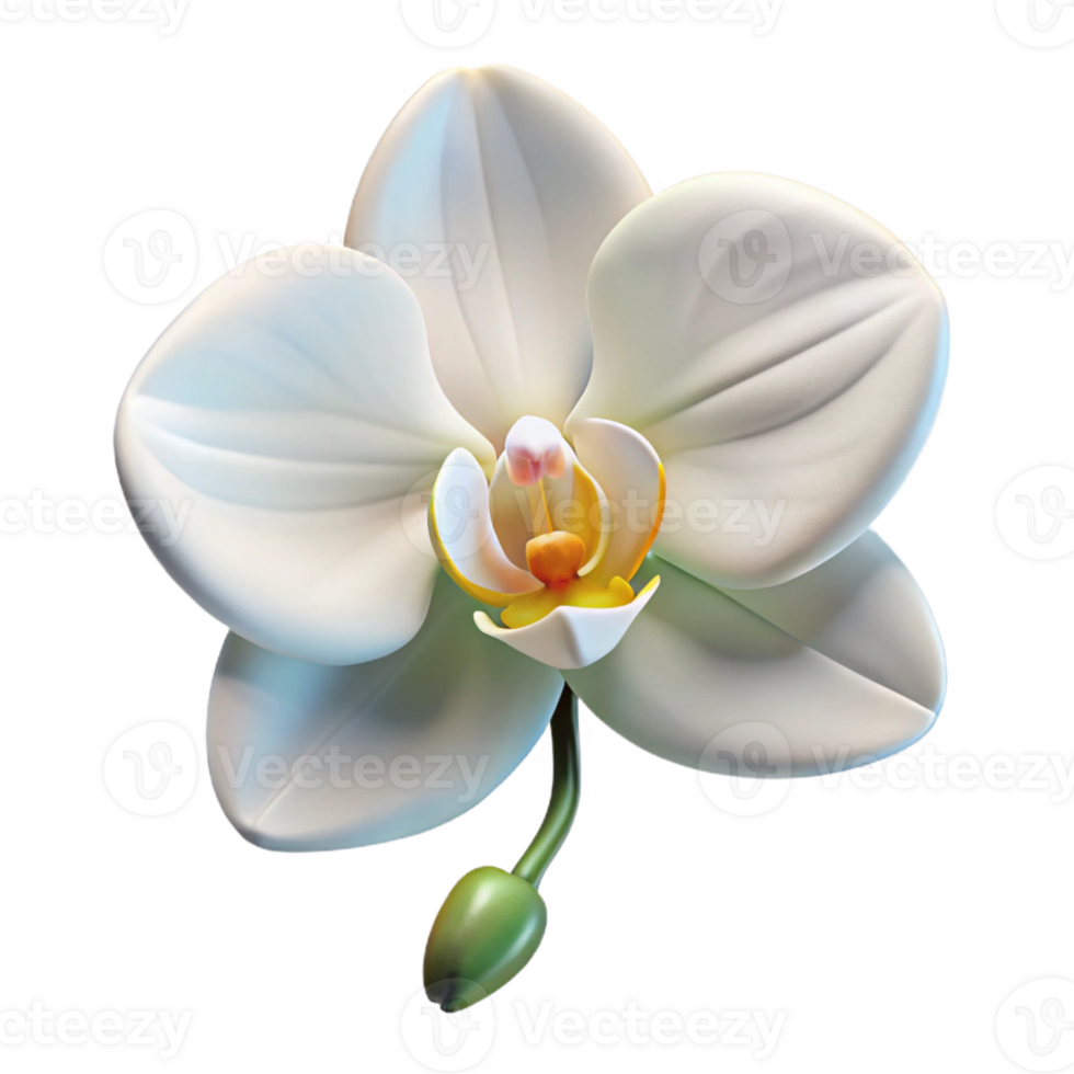 dramatic minimalist A Single White Orchid Soft Lighti high quality png