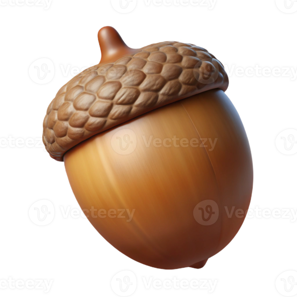vibrant minimalist A Single Acorn Detailed Texture Realis authentic png