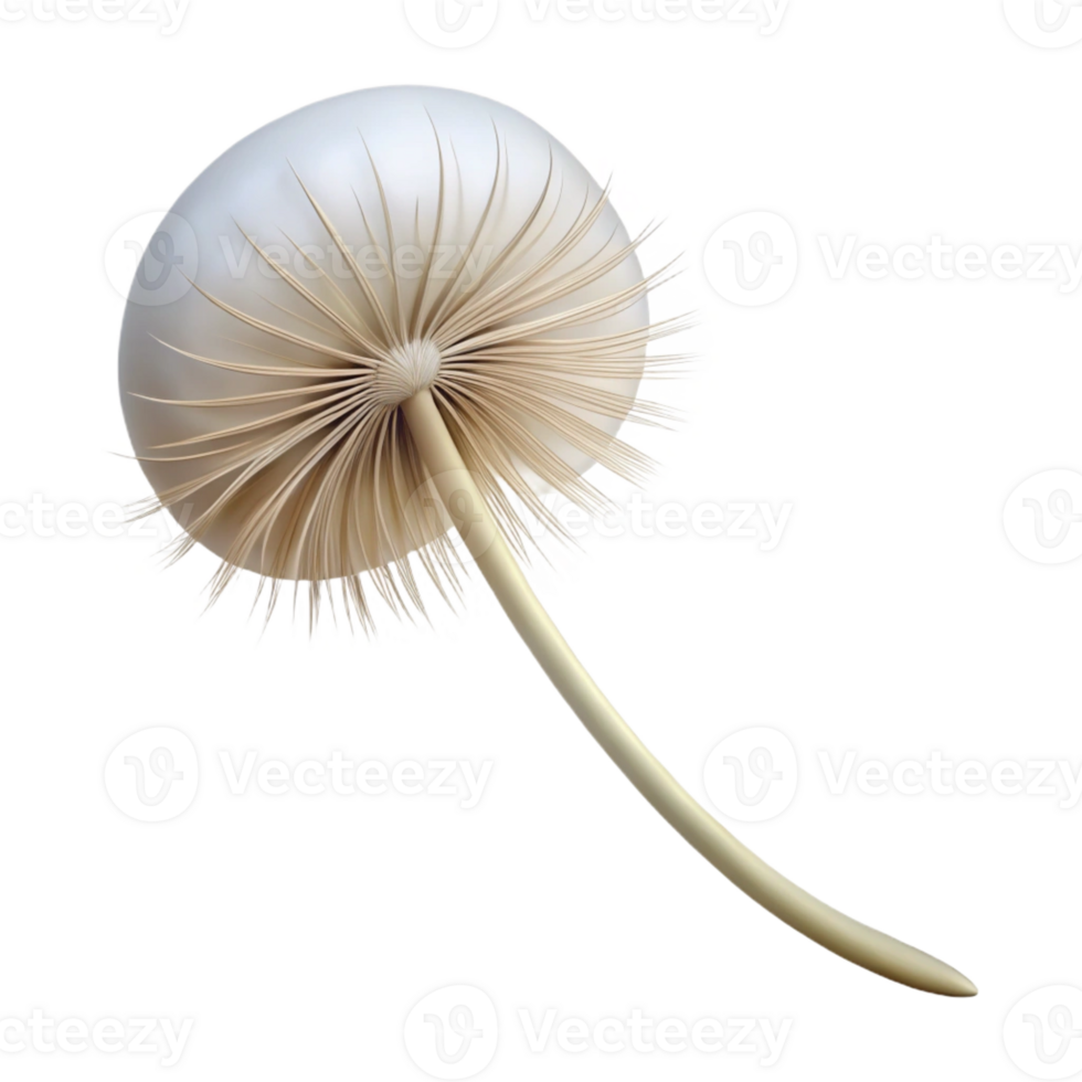 vibrant abstract A Single Dandelion Seed Head in the Wind high quality png