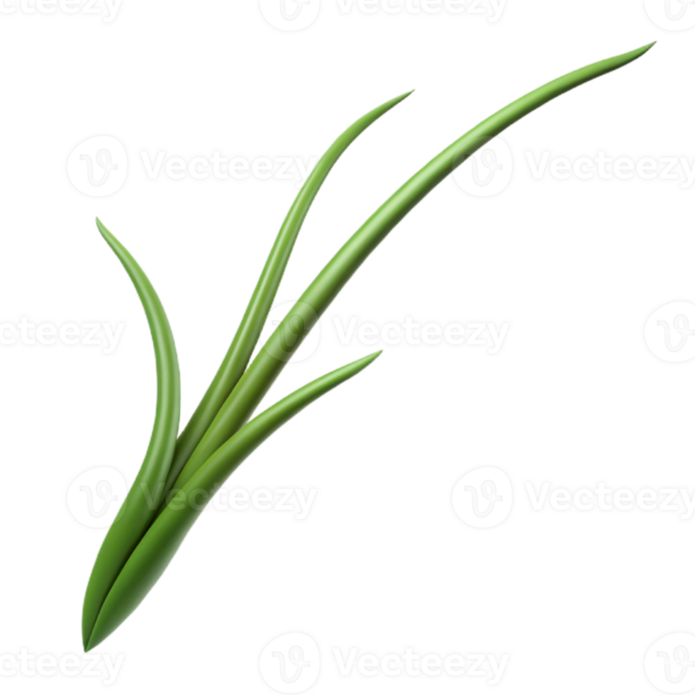 wonderful vintage A Single Blade of Grass Intricate Detail exclusive png