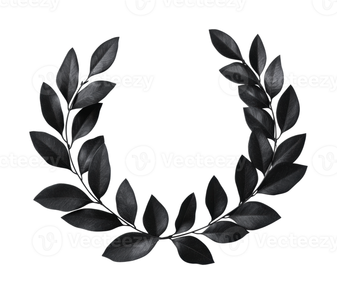 Elegant black laurel wreath with glossy leaves on dark background, cut out png