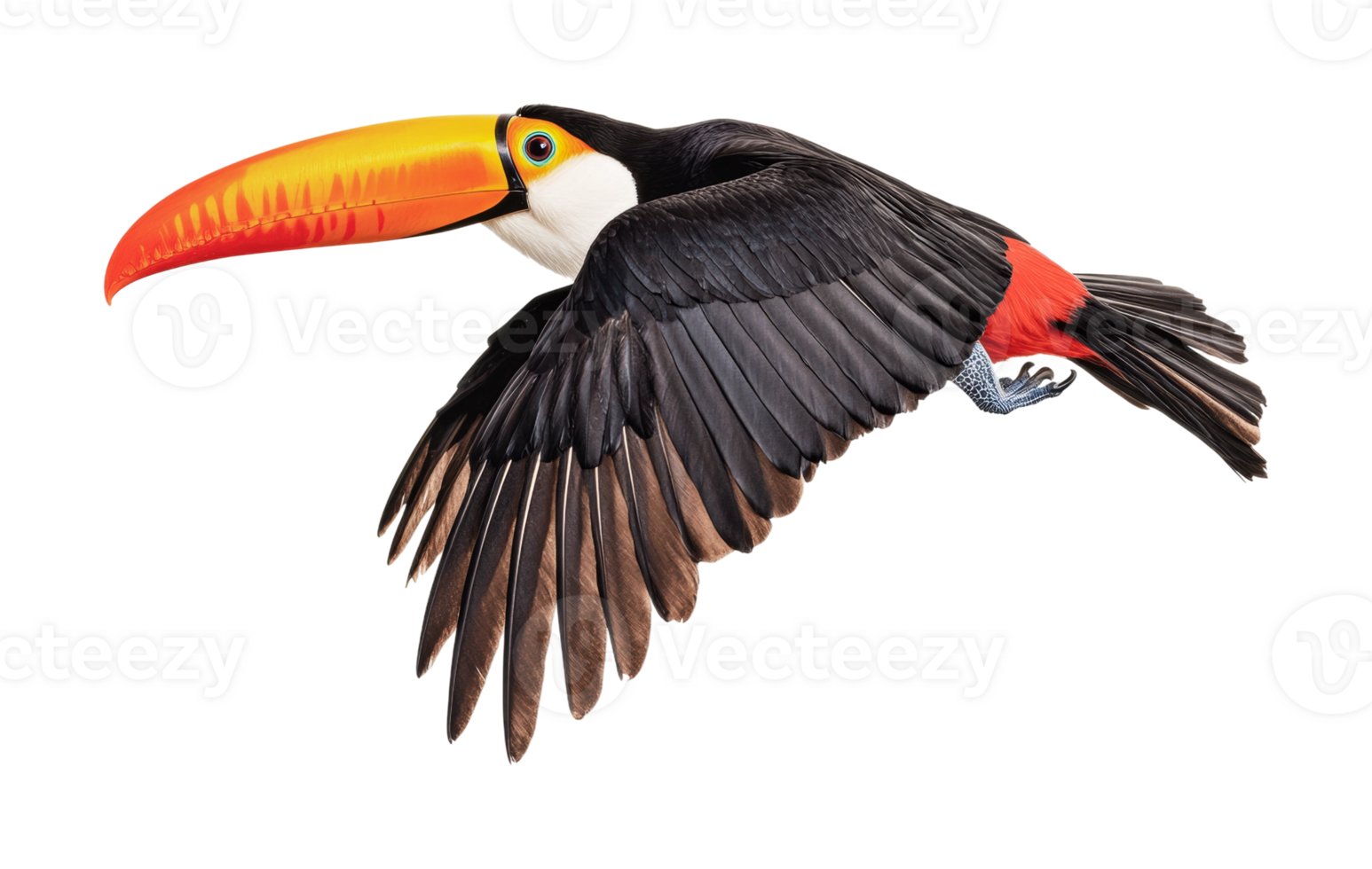 Colorful toucan in mid-flight with orange beak and black feathers, cut out png