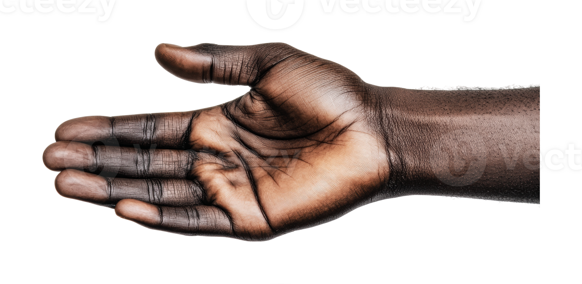 African male adult hand open palm gesture on isolated white background, cut out png