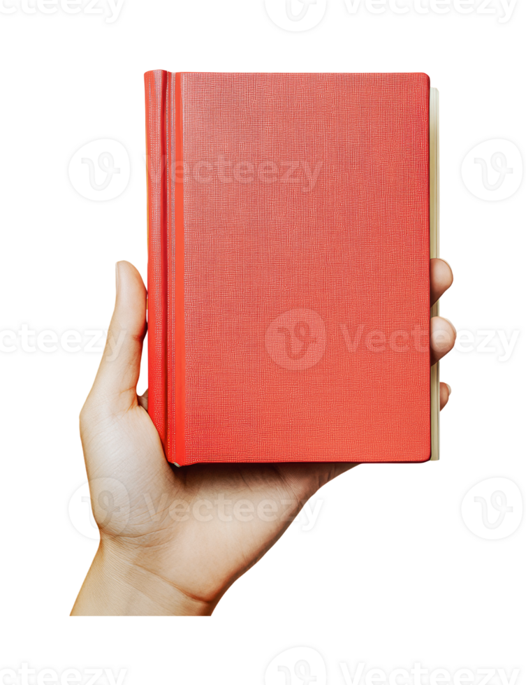 Caucasian adult hand holding small red book against white background, cut out png