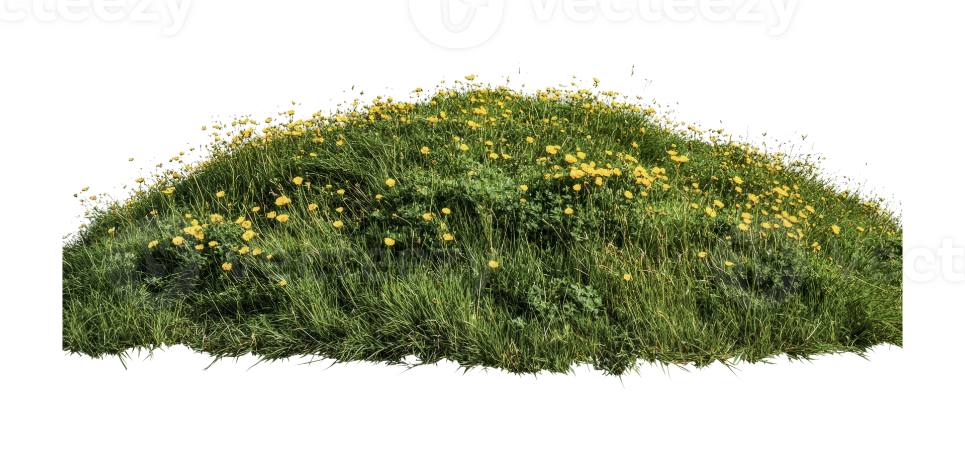 Lush green grass mound with blooming yellow wildflowers, cut out png