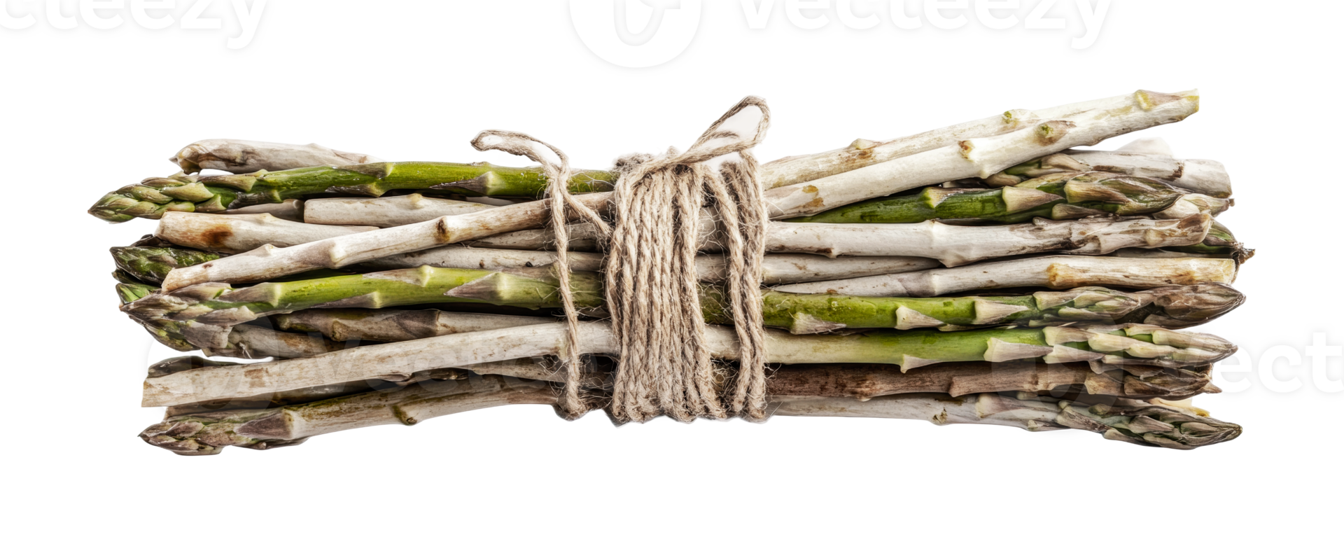 Bunch of fresh asparagus spears tied with twine, cut out png