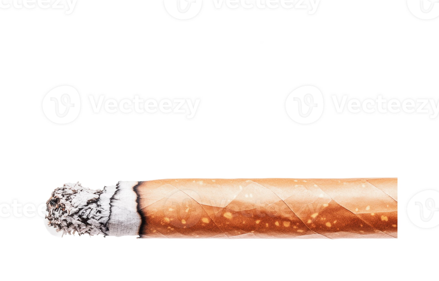 Close-up of a burning cigarette with ash, cut out png