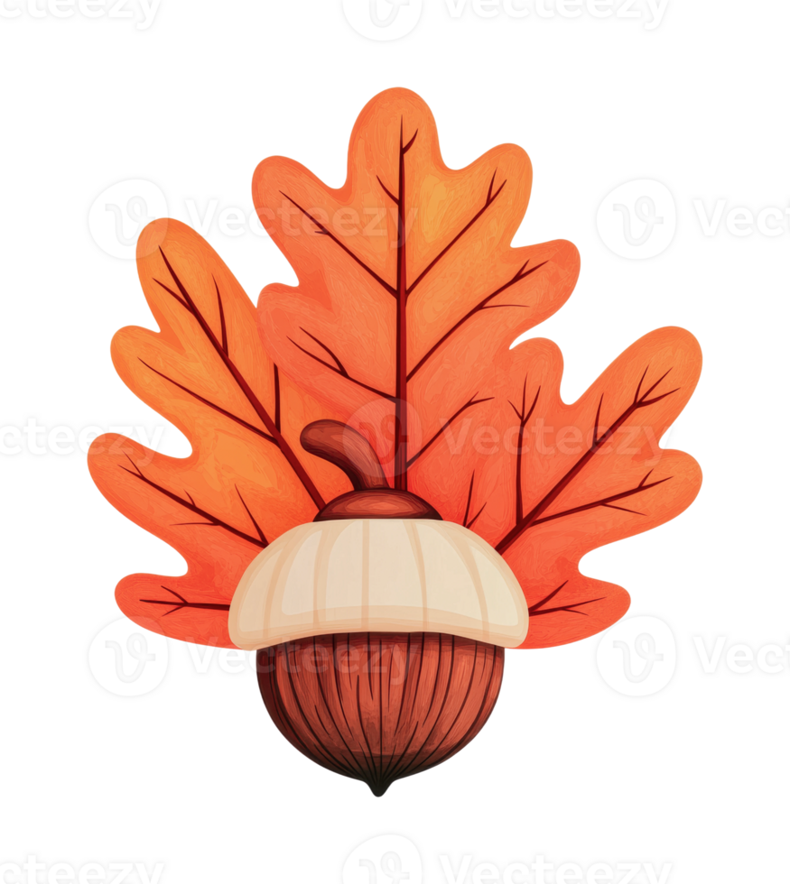 Autumn acorn with vibrant orange leaves illustration, cut out png