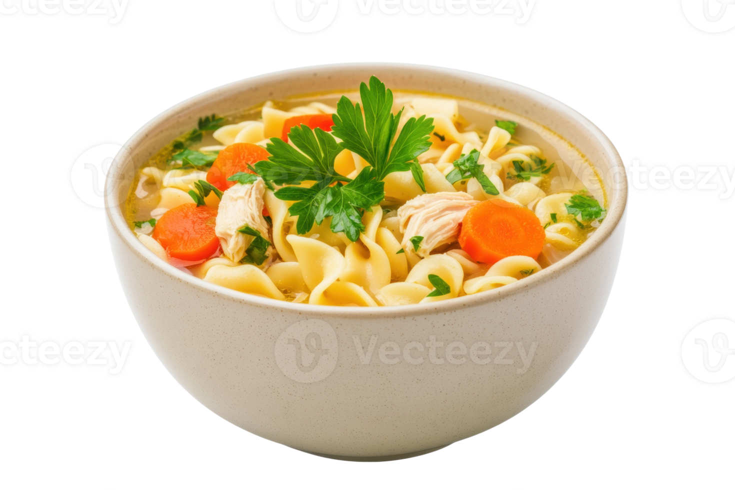 Delicious chicken noodle soup with carrots and parsley in ceramic bowl, cut out png
