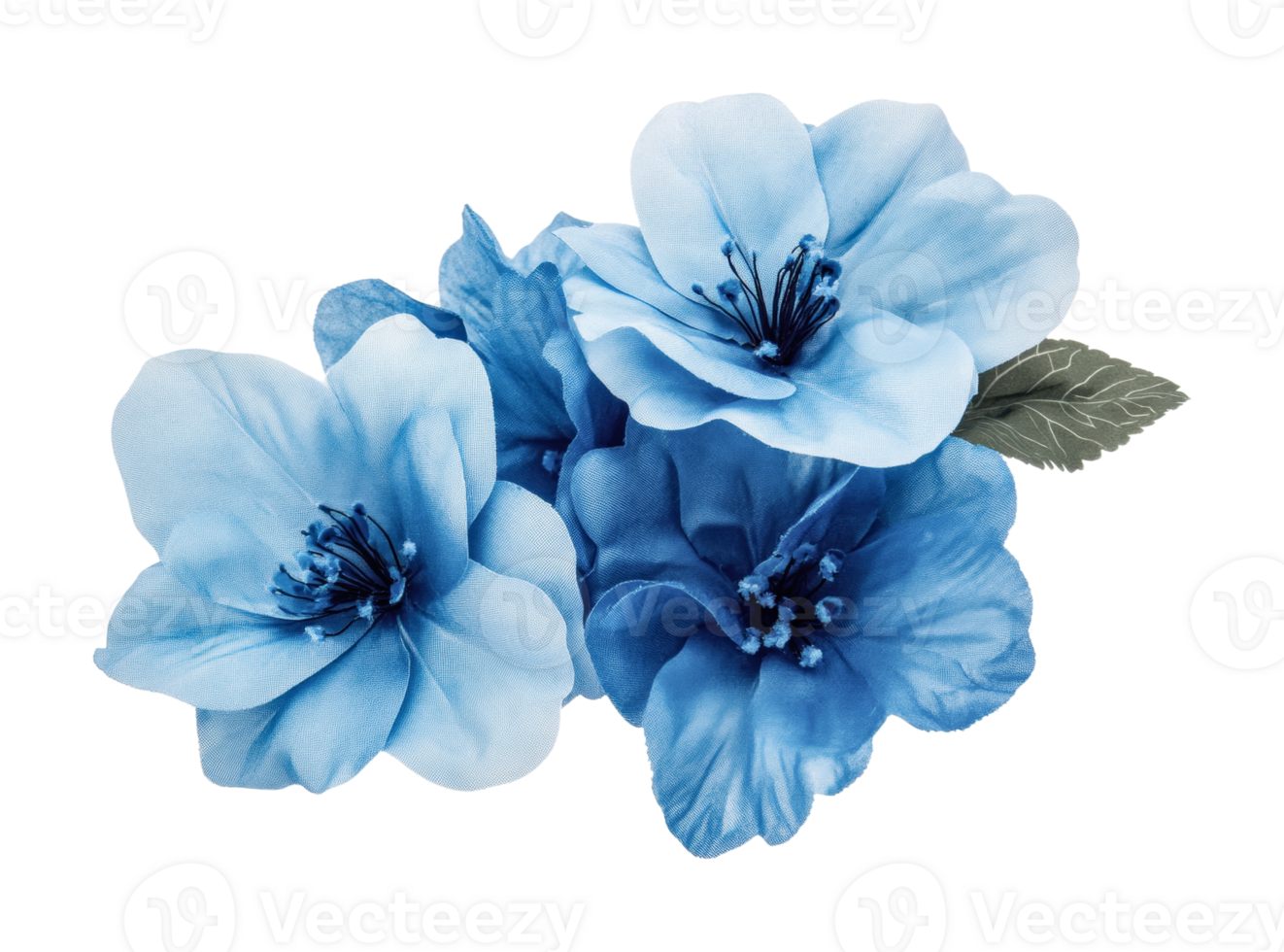 Vibrant blue flowers with green leaf on transparent background, cut out png