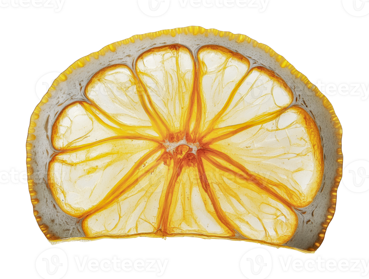 Transparent slice of lemon showing intricate inner structure and bright yellow peel, cut out png