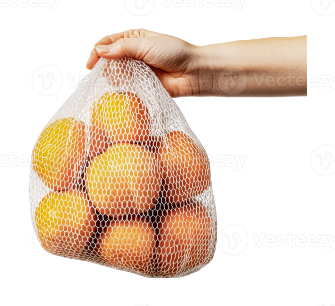 Caucasian hand holding mesh bag of oranges against black background, cut out png