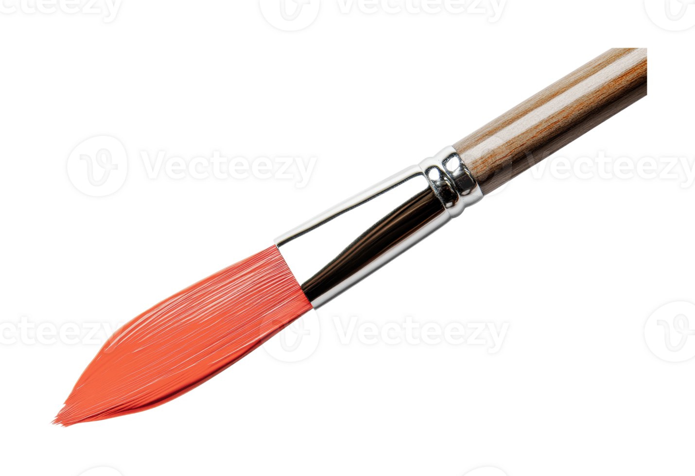 Close-up of a detailed paintbrush with wooden handle and red bristles, cut out png