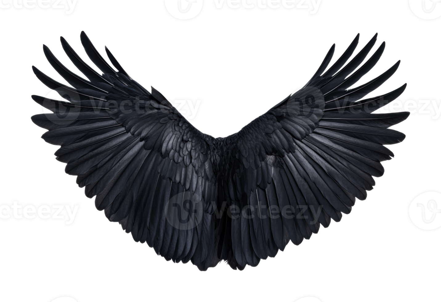 Detailed black crow wings spread against dark background, cut out png