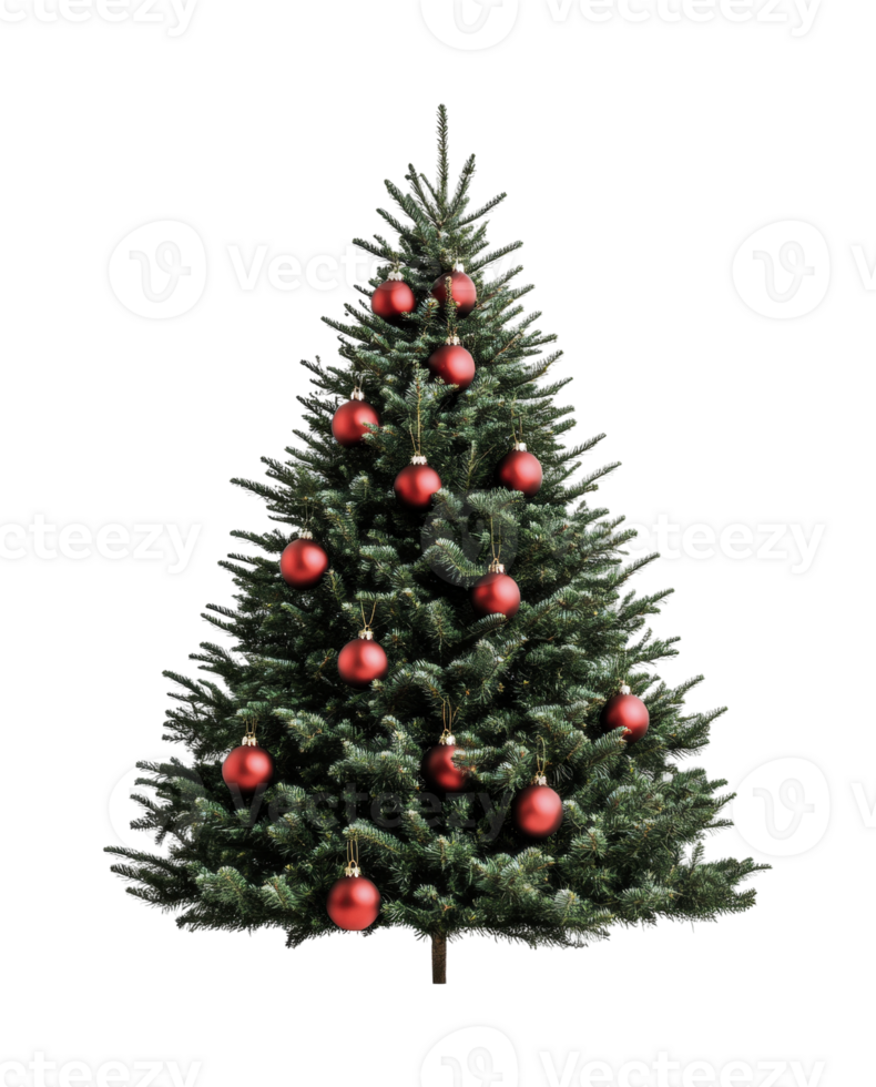 Evergreen christmas tree with red ornaments on black background png