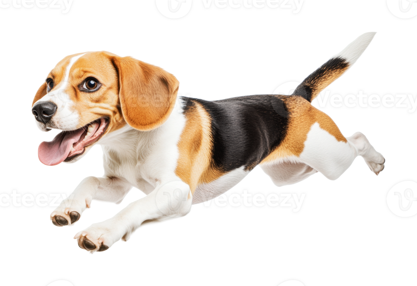 Energetic beagle puppy leaping playfully with joyful expression png
