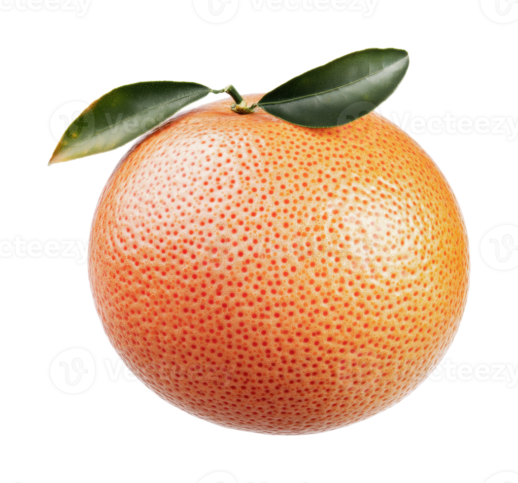 Fresh ripe grapefruit with green leaves on black background png