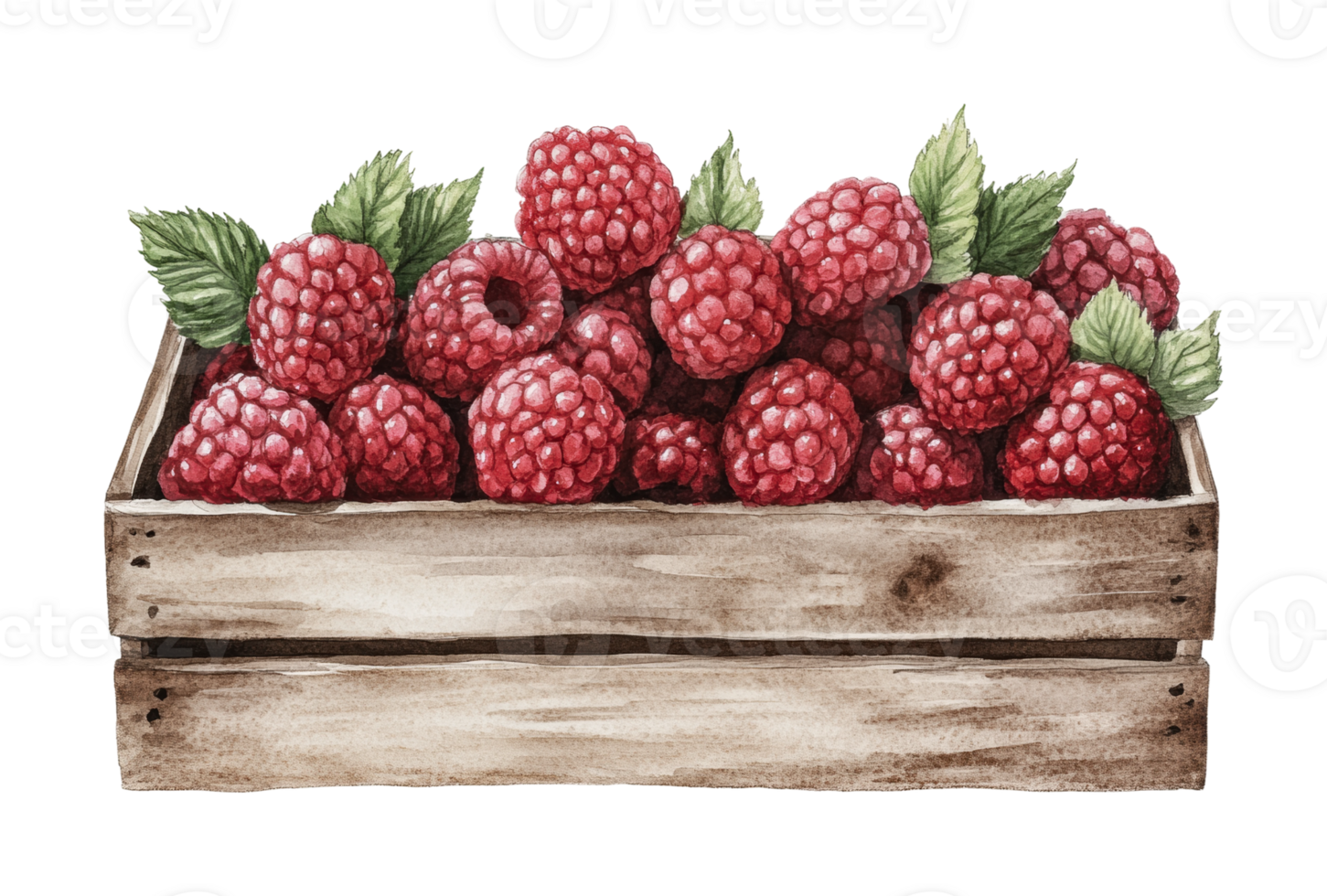 Wooden crate of fresh raspberries with green leaves png