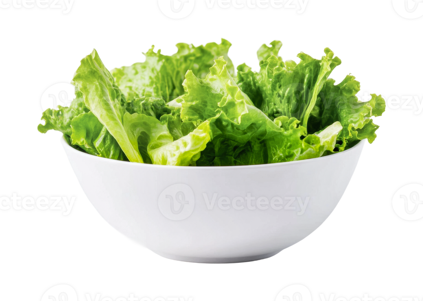 Fresh green lettuce in white bowl on transparent background png
