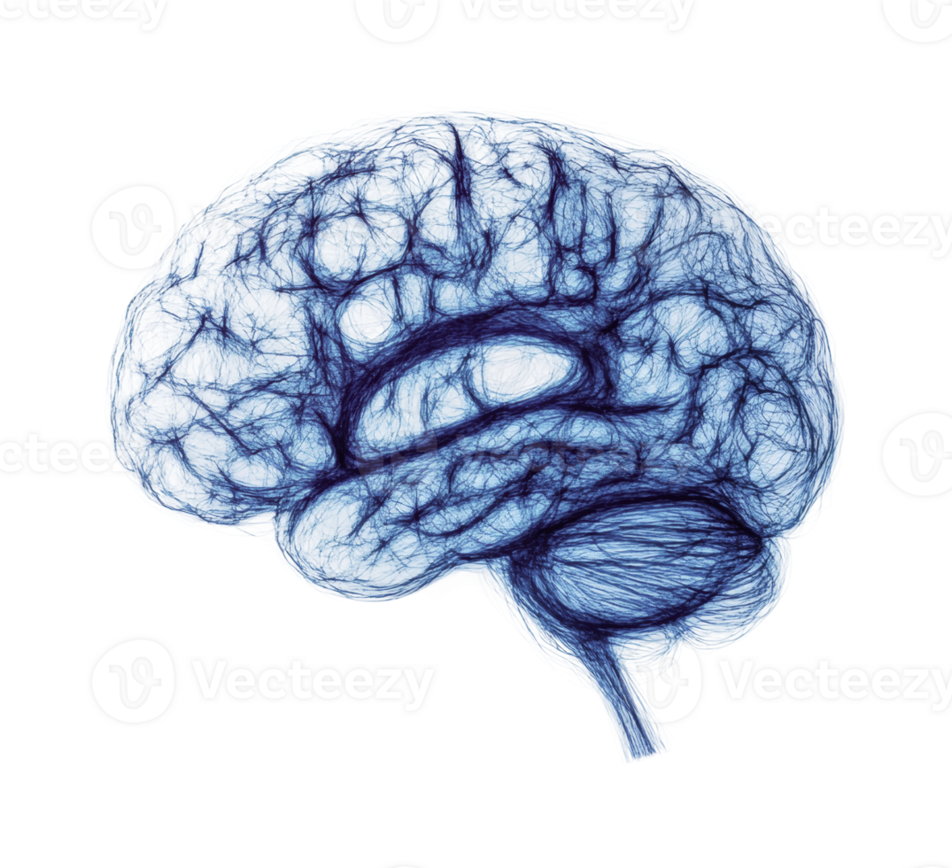 Digital blue brain visualization highlighting neural networks and pathways png
