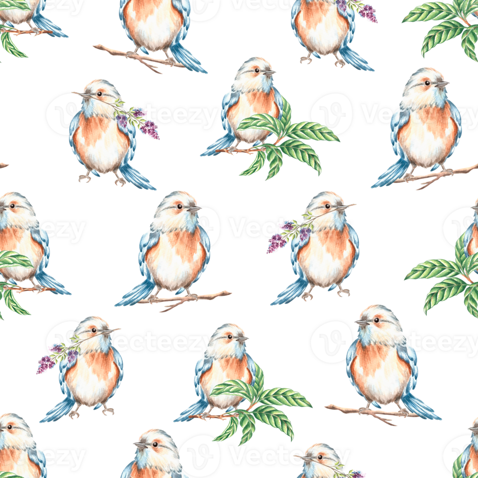 Birds on branches with green leaves. Small songbirds with blue orange plumage. Spring seamless pattern. Hand drawn watercolor illustration. Syringa flower. Template background for wallpaper, textile png