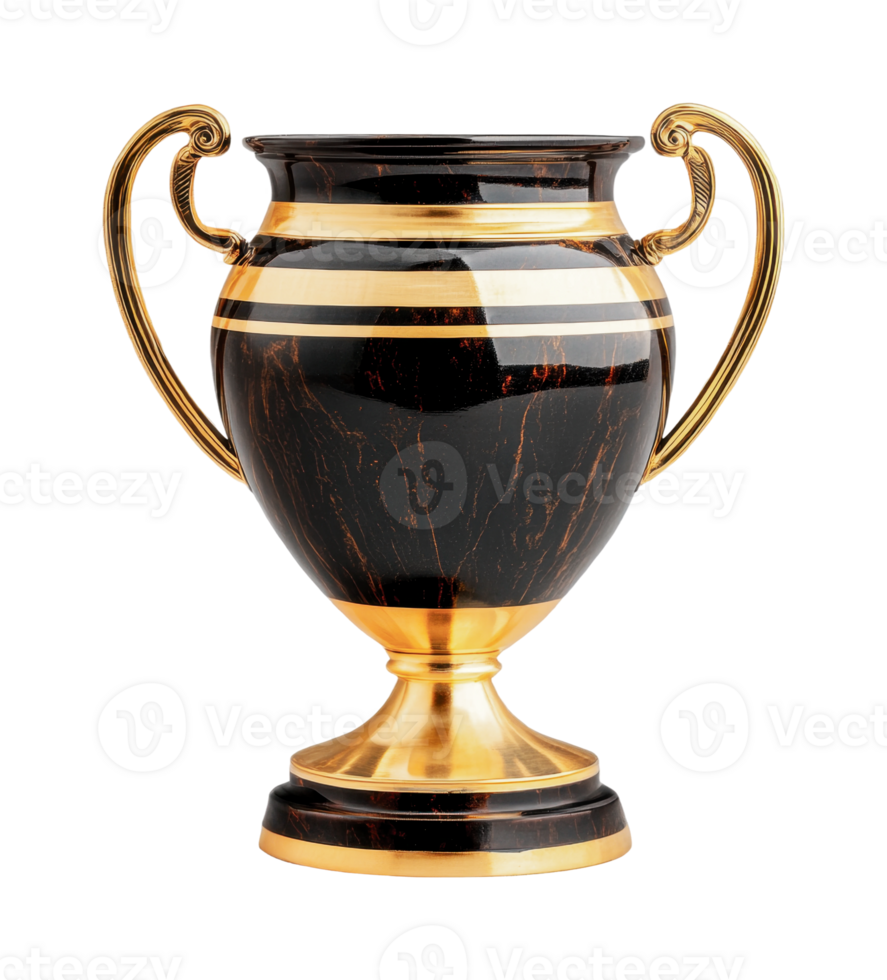 Elegant black marble trophy with gold handles on black background png